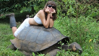 �������� ����������� ������� ������������� � ������������ ����������� �� ����������