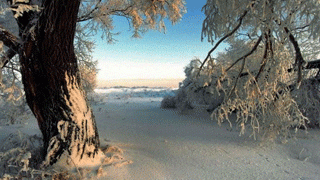 Вымогатели грозили закопать подростка в лесу Вымогатели грозили закопать подростка в лесу