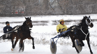 Саратовский ипподром передают госкомпании. Руководство ждет финансирования Саратовский ипподром передают госкомпании. Руководство ждет финансирования