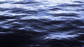 Мужчина утонул, купаясь с друзьями в пруду Мужчина утонул, купаясь с друзьями в пруду