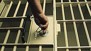 Убийц собаковода заключили под стражу Убийц собаковода заключили под стражу