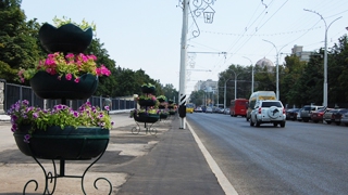 На Московской появились ударопрочные цветочные «фонтаны» На Московской появились ударопрочные цветочные «фонтаны»