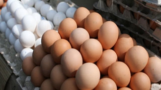 Минсельхоз объяснил, почему цены на яйца выросли на 30,6%