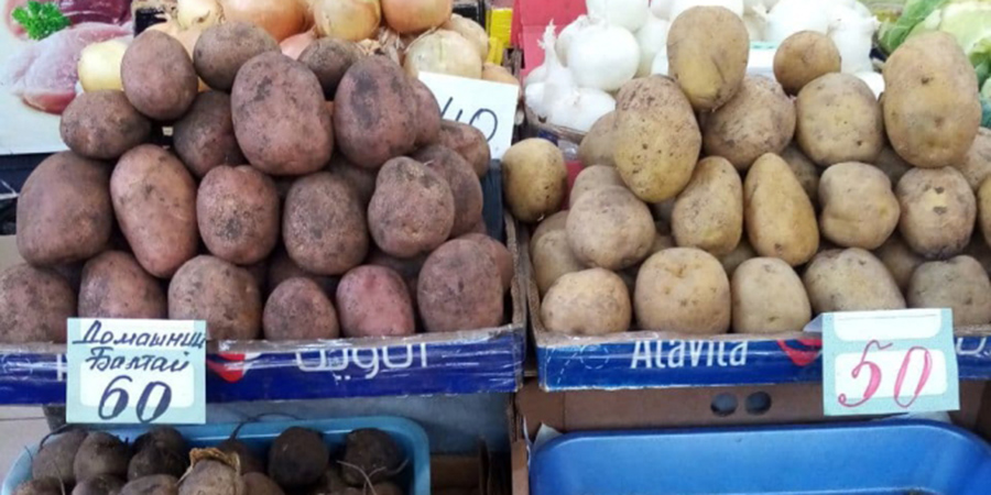 Килограмм картошки стоит 40 рублей. Саратовский картофель. Картофель на рынке в Венгрии. Сколько стоит 1 кг картошки. Картошка на рынке в Москве Липецкая.