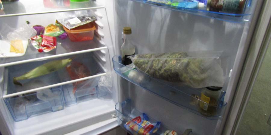 марихуану в холодильник