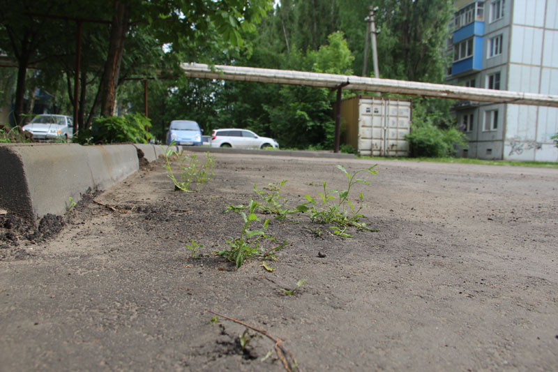 ��������, 34