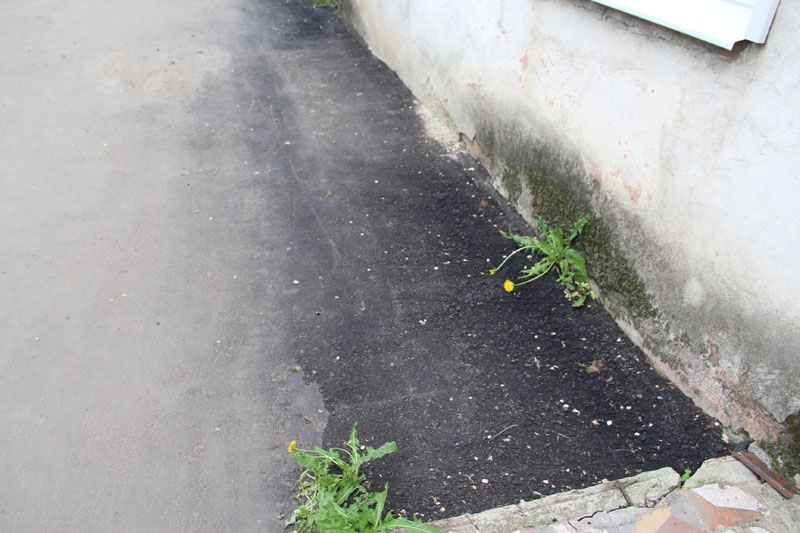 ��������, 50